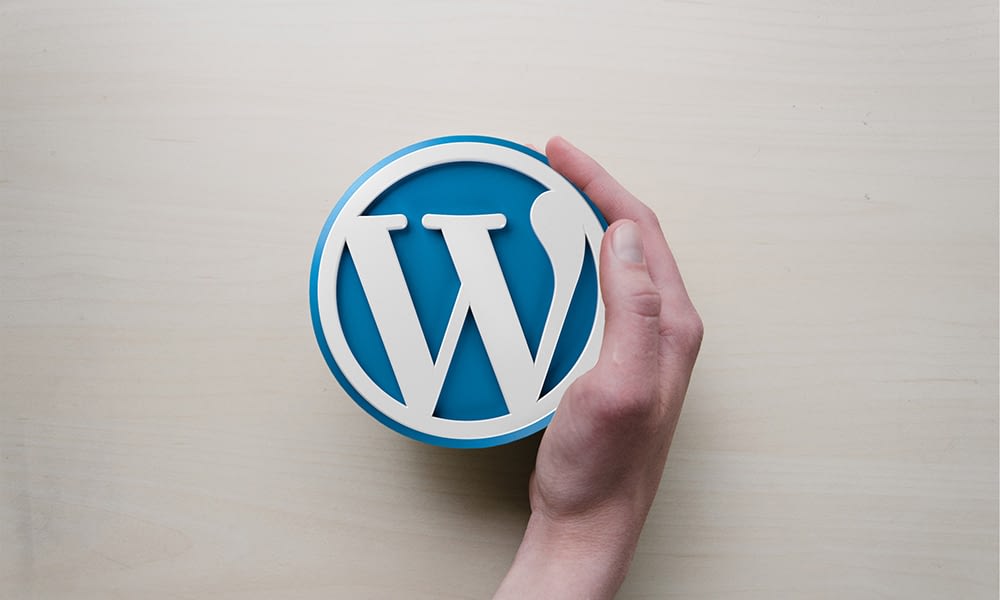 WordPress And Why It’s our Choice For Your Website